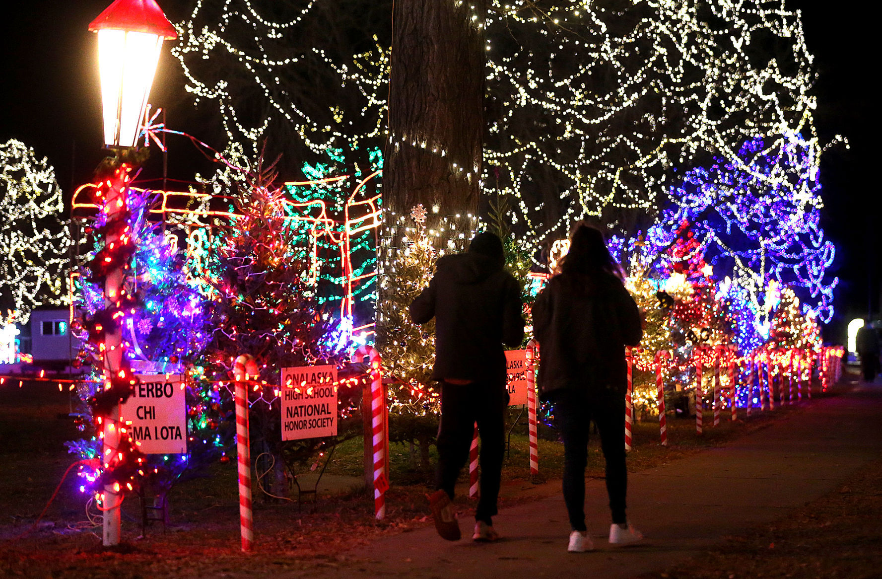 Rotary Lights 2020